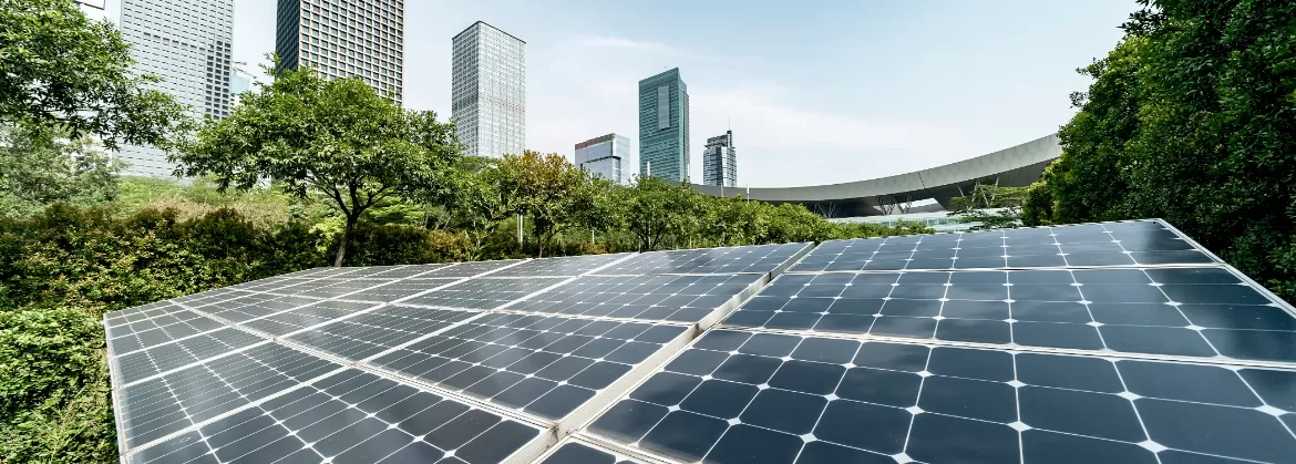 Khảo sát & Tư vấn 