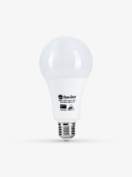 Bóng đèn LED Bulb tròn A80N1 15W A80N1/15W.H