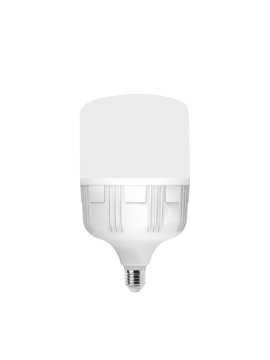 Đèn LED Bulb Điện Quang 50W ĐQ LEDBU10 50